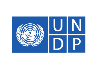 UNDP UNDP